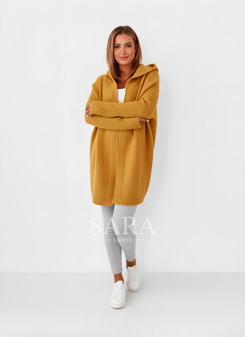 Slika slajda