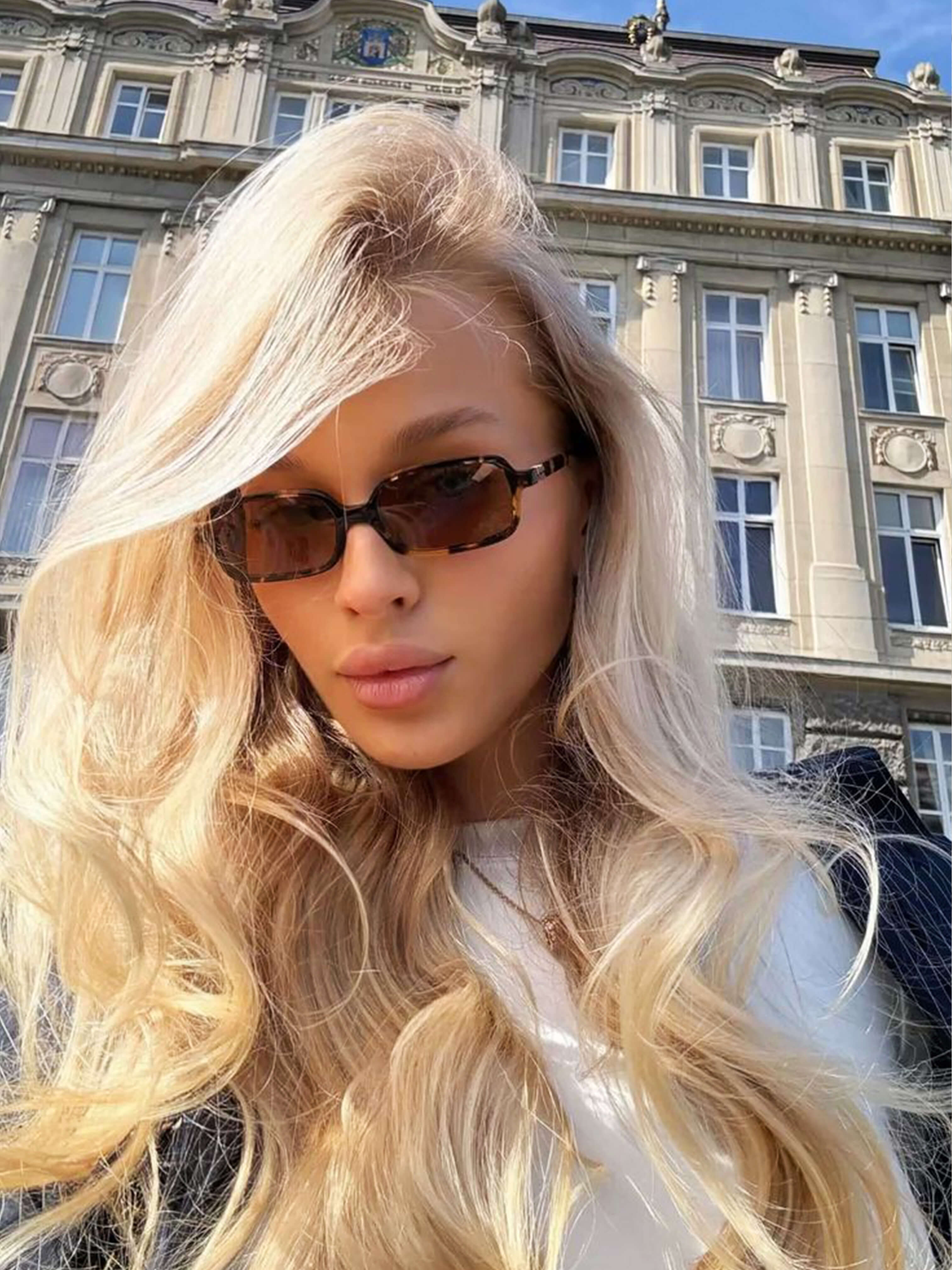 Slika slajda