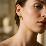 Elegant Cubic Gold Earrings